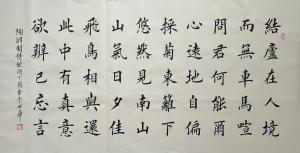 陈世华书法作品《(书法50)作者陈世华》价格4000.00元