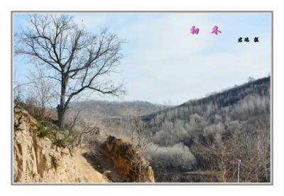 君瑞生活-近期的摄影作品，对生活充满感激和热情，风景尽在眼底。【图7】