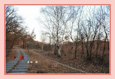 君瑞生活-近期的摄影作品，对生活充满感激和热情，风景尽在眼底。【图6】