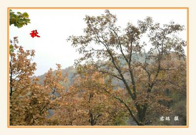 君瑞生活-近期的摄影作品，对生活充满感激和热情，风景尽在眼底。【图9】