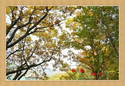 君瑞生活-近期的摄影作品，对生活充满感激和热情，风景尽在眼底。【图8】