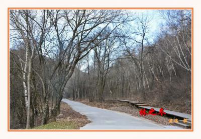 君瑞生活-近期的摄影作品，对生活充满感激和热情，风景尽在眼底。【图3】