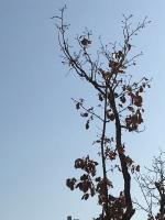 艺术家张近生生活:院 中 踱 步 难 衿 风
不 如 雅 斋 醉 丹 青
【图2】