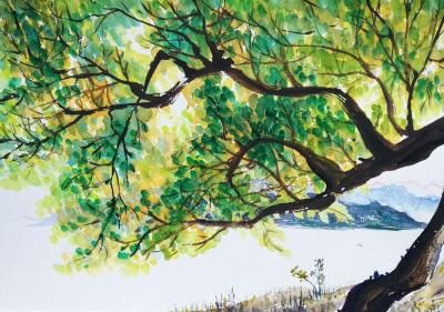 王征明收藏-水意画指在表现形式上像水一样无固定法则，根据创作条件随机变化，从而来表现独立的意【图2】