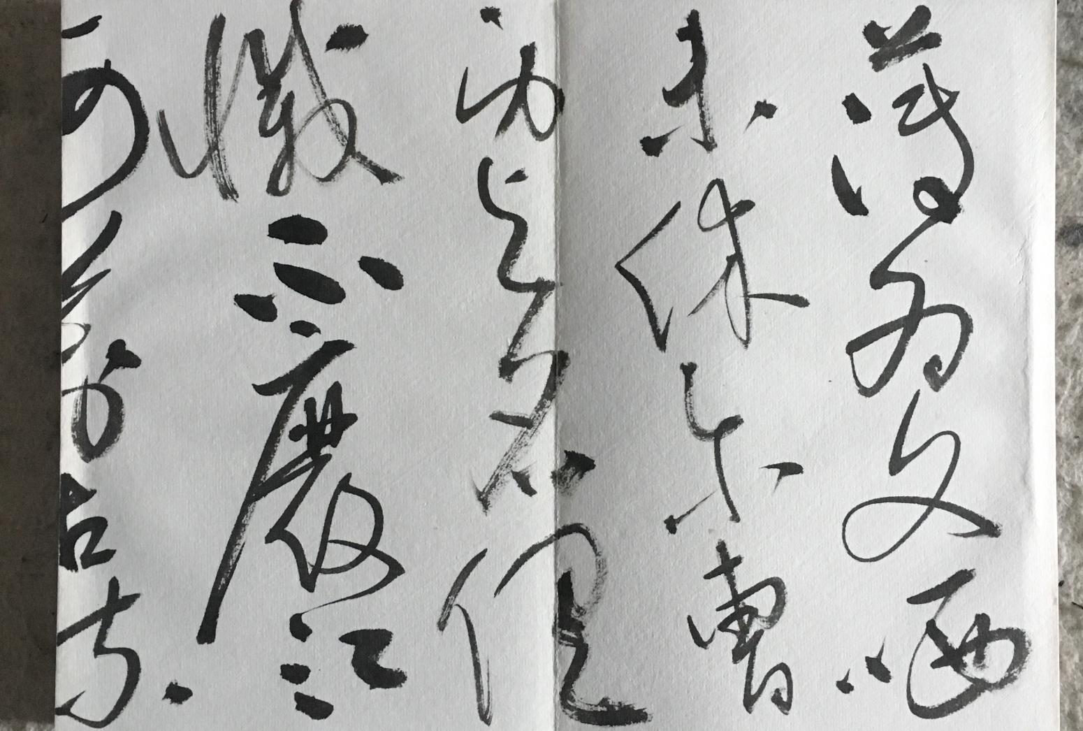 王永书法作品《草书册页》【图4】