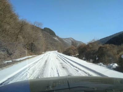 陈新义日记-远远望去千沟万壑，片片树海，片片田地，都是在一色银装素裹里。近处，虽然，沿着公路【图3】
