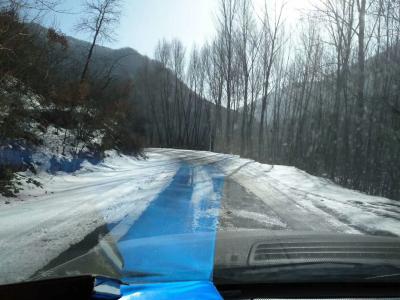 陈新义日记-远远望去千沟万壑，片片树海，片片田地，都是在一色银装素裹里。近处，虽然，沿着公路【图5】
