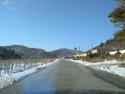 陈新义日记-远远望去千沟万壑，片片树海，片片田地，都是在一色银装素裹里。近处，虽然，沿着公路【图7】