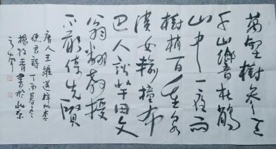 杨牧青日记-行草书两幅/四尺整张【图2】