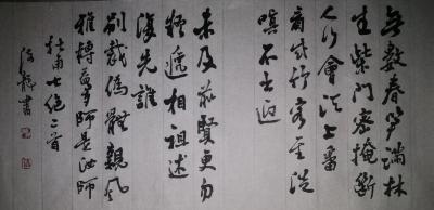 张海龙日记-小年作品，作者张海龙【图5】