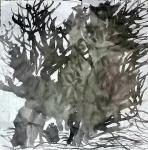 张杰栋日志-小斗方，作者张杰栋【图3】