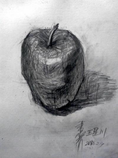 杨增超日记-学生的素描作品【图4】