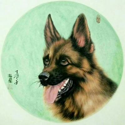 马新荣日记-早上好，狗年好运旺旺旺【图7】