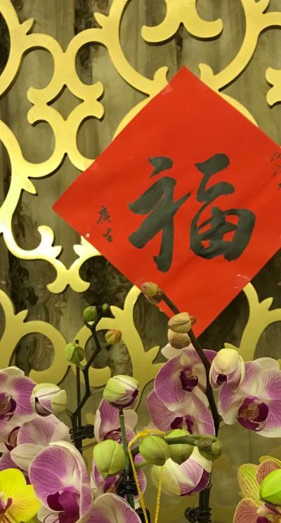 石广生生活-一觉醒来已新年，
桃源洞外花争先。
柴扉闻犬传三吠，
旺旺嘉运总相连。
【图1】