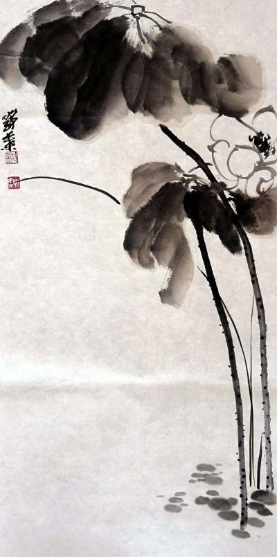 龙则霏日记-感谢大家一直帮助支持和鼓励，感恩你们，祝愿大家在2018年开心快乐，身体健康，万【图3】