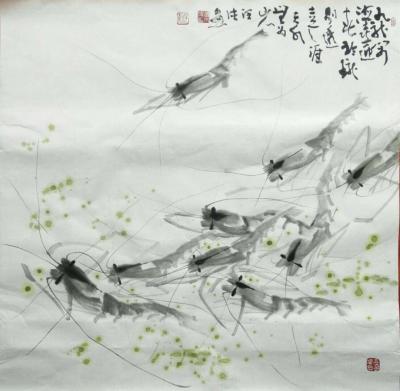 胡小炜（润德）日记-眼浊手低，我眼中手下最最正统的虾虾就这样了！【图1】