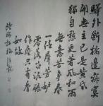 张海龙日志-张海龙书法作品
认准的路，坚持必定成功【图2】