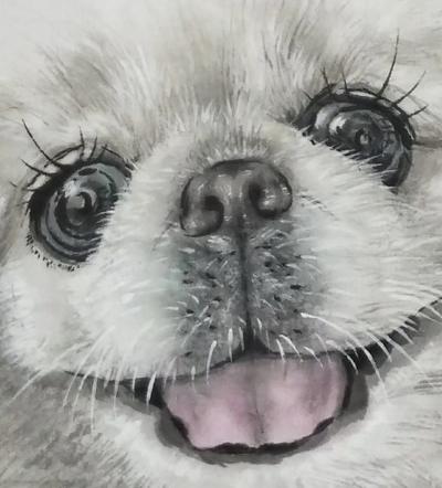 郭雨铮日记-【图1】