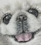 郭雨铮日志-【图1】