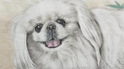 郭雨铮日记-【图2】