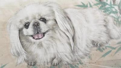 郭雨铮日记-【图3】