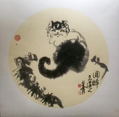 柳士才日记-新年新气象……第一张猫咪〖回眸〗、拟人意味！最后一张压轴的是旺旺小可爱拜春夏秋冬【图3】