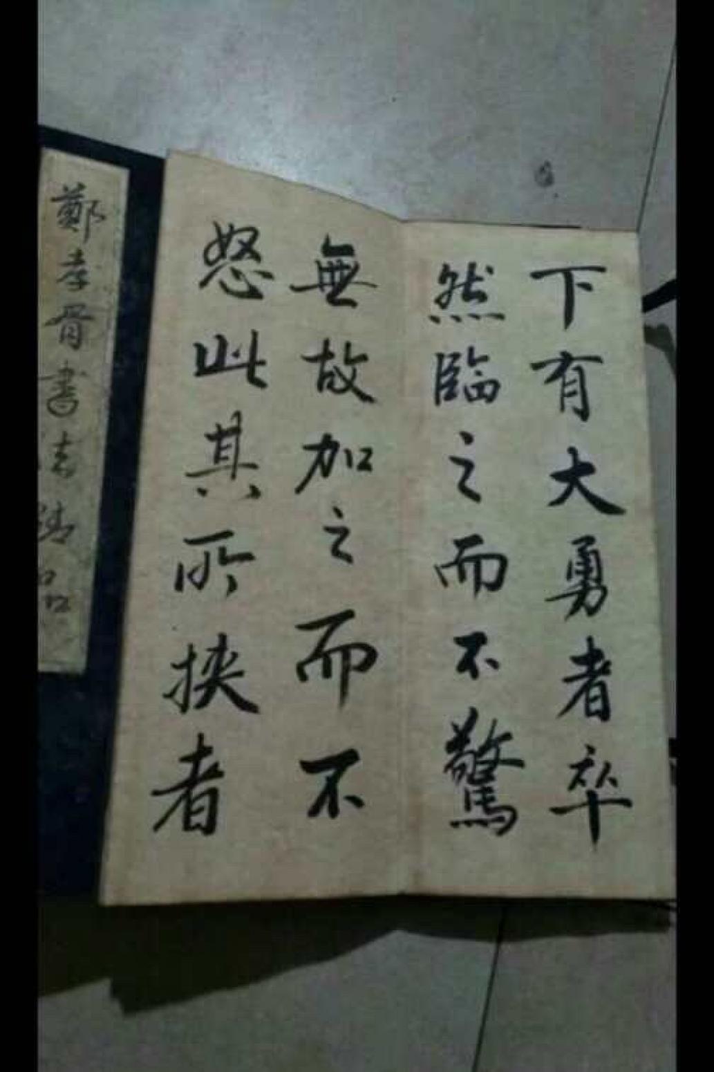 13728042745书法作品《郑孝胥精品书法册》【图4】