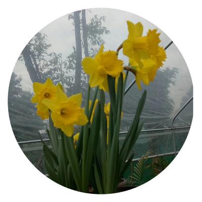 李沫池生活-爱生活，爱自己。春暖花开时节。【图3】