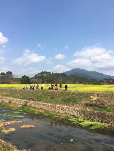 叶仲桥生活-2月28日带领市美协到云安县富林镇万亩油菜花乡村写生，并接受中央电视台和云浮电视【图7】