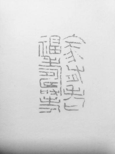 李显日记-隐庐新作，李显
印文:家有老福寿考
材质:芙蓉石【图4】