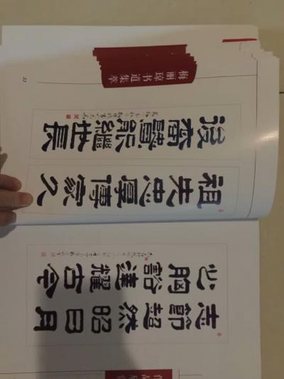 梅丽琼日记-由中国文化出版社出版“李燕题词”的《梅丽琼书道集萃》70页码画册回了！……【图9】