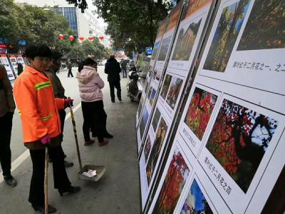 杨金婷生活-迎新春书画、摄影展开展啦!亲们，喊你来看展。地址：人民路政府门前至白雲商厦。看展【图2】