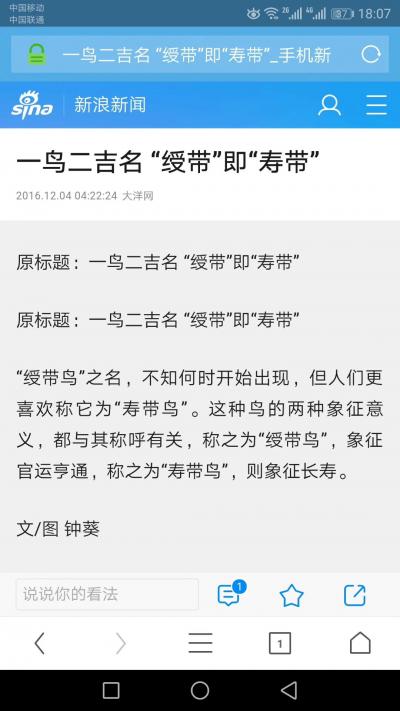 胡记领日记-胡记领国画新作，小六尺工笔【图1】