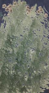 王立军国画作品《《一湖秋水》》价格60000.00元