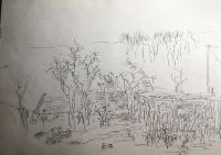 艺术家陈秀梅日记:朋友们让我发几张速写，那就发几幅速写作品満足朋友的支持和关心【图3】