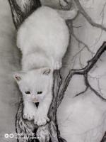 艺术家罗虹明日记:猫的背景一直是我思考的问题，猫是老虎的师傅，它留了一手，会爬【图0】