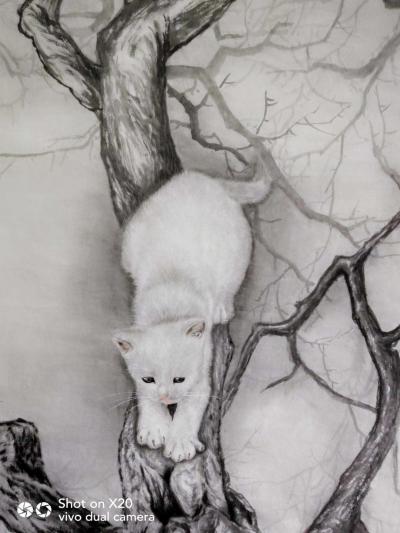 罗虹明日记-猫的背景一直是我思考的问题，猫是老虎的师傅，它留了一手，会爬树，而老虎不会。那么【图2】