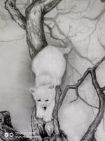 艺术家罗虹明日记:猫的背景一直是我思考的问题，猫是老虎的师傅，它留了一手，会爬【图1】