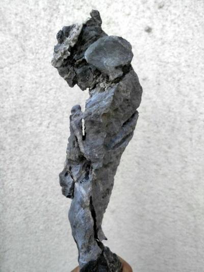 杨增超日记-《少女情怀》杨增超，祝女神们节日快乐！【图1】