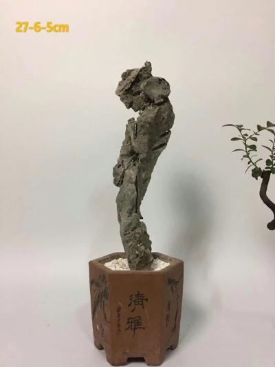 杨增超日记-《少女情怀》杨增超，祝女神们节日快乐！【图3】