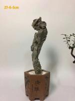 艺术家杨增超日记:《少女情怀》杨增超，祝女神们节日快乐！【图2】