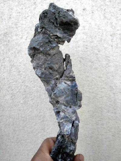 杨增超日记-《少女情怀》杨增超，祝女神们节日快乐！【图4】