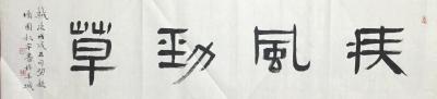 金新宇收藏-书法《疾风劲草》，以简入书，继续瞎整【图1】