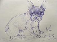 艺术家袁峰生活:继续为我的模特画素写……,袁峰【图2】