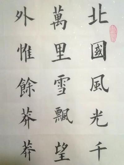 高志刚日记-高志刚楷书《毛澤東-沁园春-雪》
规格：四尺整张
材料：仿古洒金宣纸软片【图3】