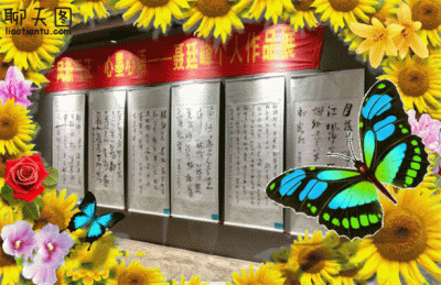 13853037369兴艺空间精选封面动态图片