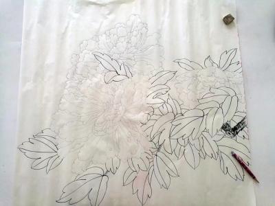 胡记领日记-胡记领工笔绘画，带你走进工笔是怎样练成的。【图6】