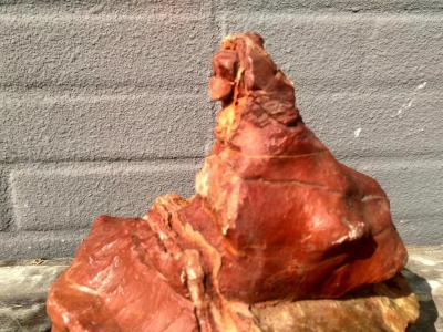 杨增超日记-彩石《人面兽身》，杨增超【图3】