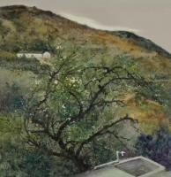 艺术家胡静收藏:梁华涛的写生风景，优雅恬静洒脱的象诗一样美。胡静【图2】