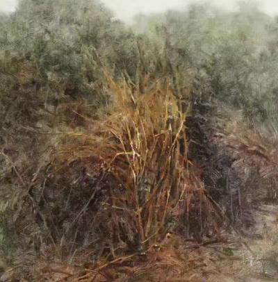 胡静收藏-梁华涛的写生风景，优雅恬静洒脱的象诗一样美。胡静【图6】